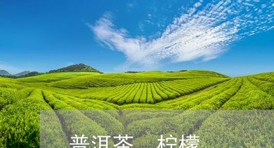 普洱茶 柠檬/2023042901116